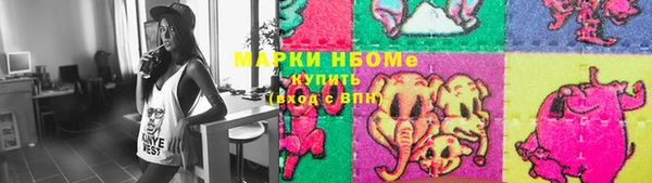 хмурый Алексин