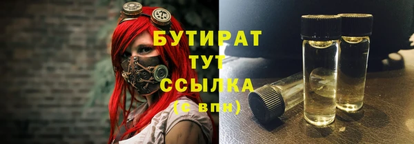 хмурый Алексин