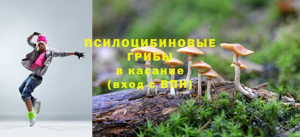 стафф Алексеевка