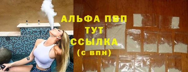 хмурый Алексин