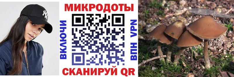 Псилоцибиновые грибы MAGIC MUSHROOMS Омутнинск